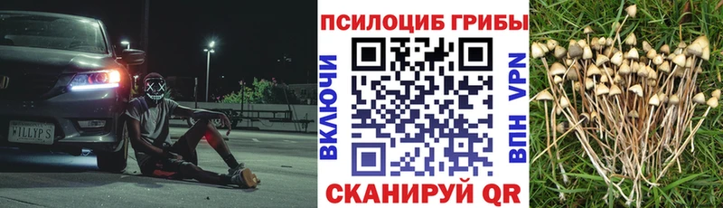Псилоцибиновые грибы прущие грибы  Северо-Курильск 